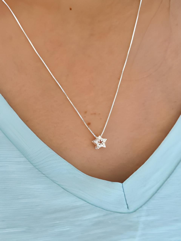 Colar Mini Estrela Cravejada